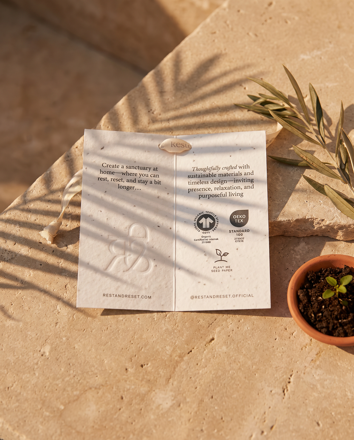 Rest & Reset seed paper card on warm limestone in golden light, beside a seedling